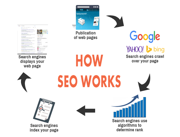 Search Engine Optimization Course