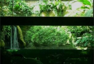 Paludarium Waterfall