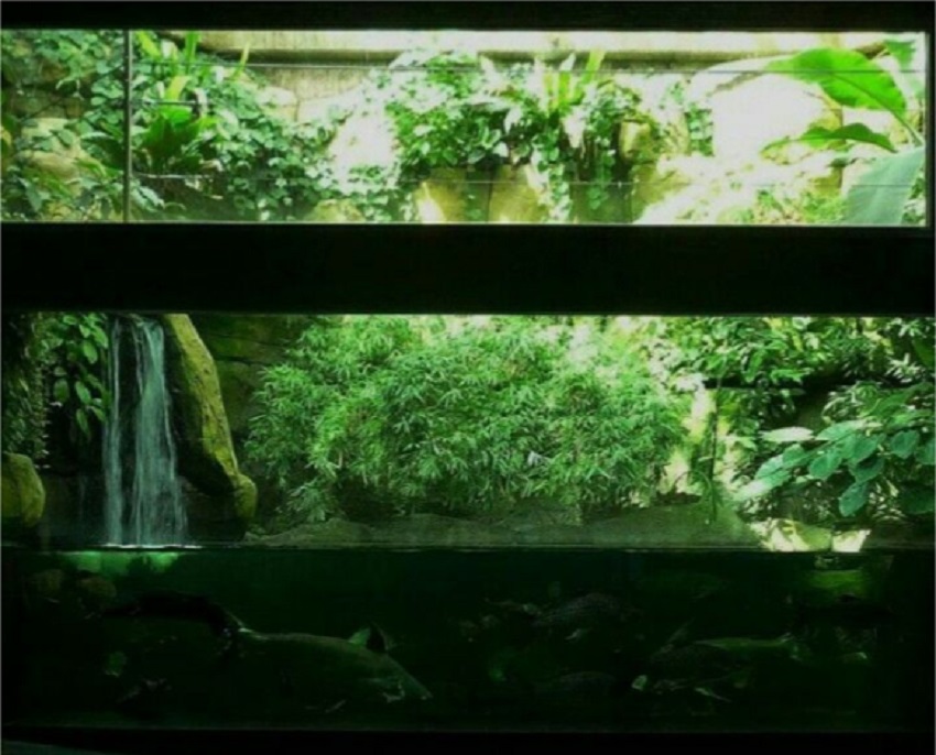 Paludarium Waterfall