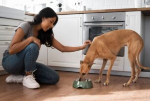The Benefits of Wet Food in a Dog’s Diet