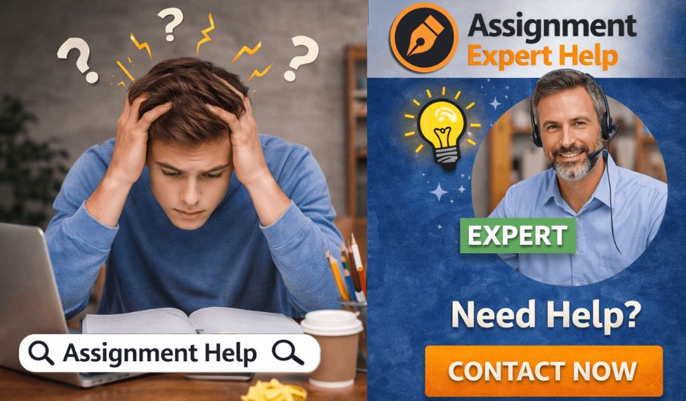 Business Assignment Help Online